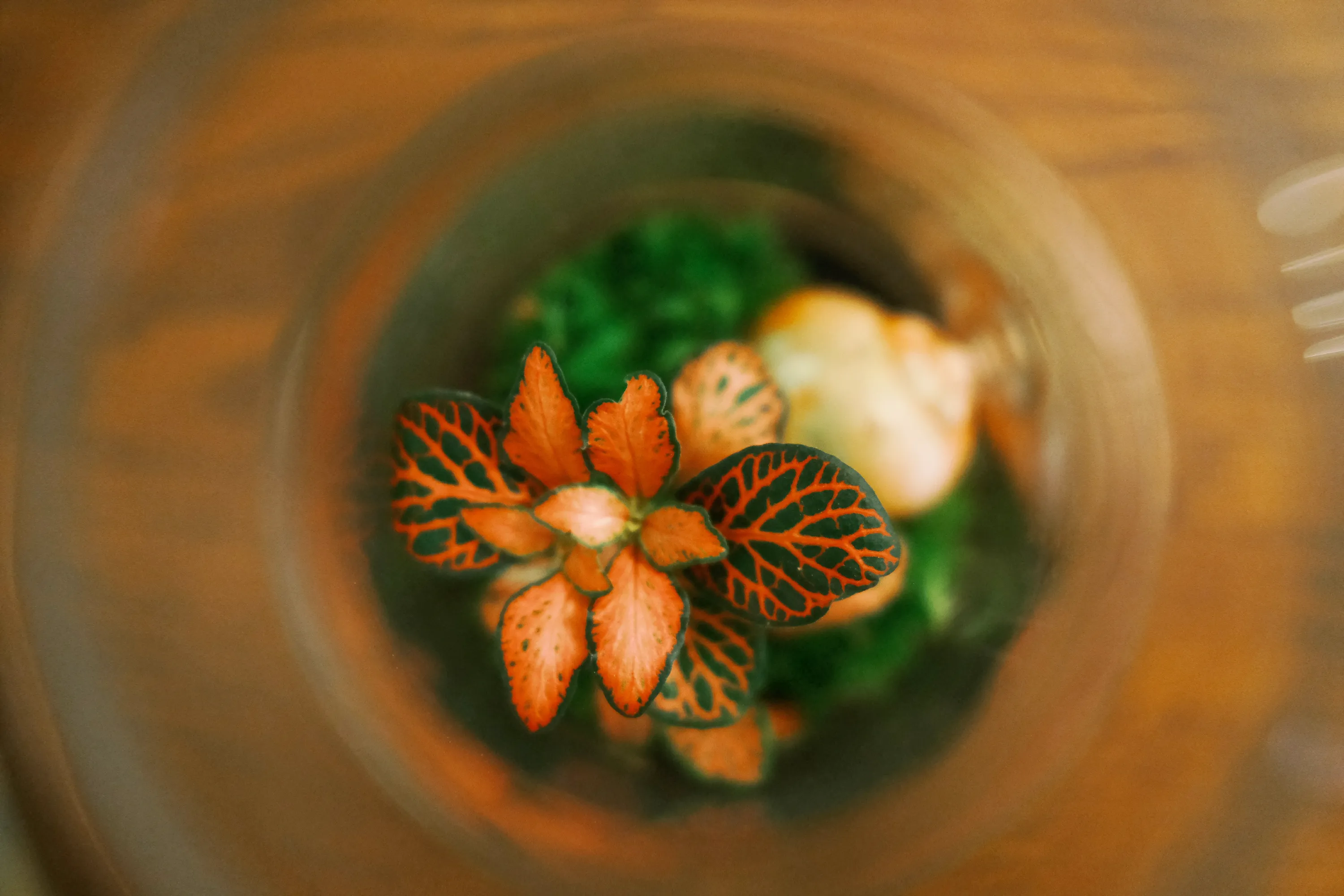 Mechárium malé detail 2