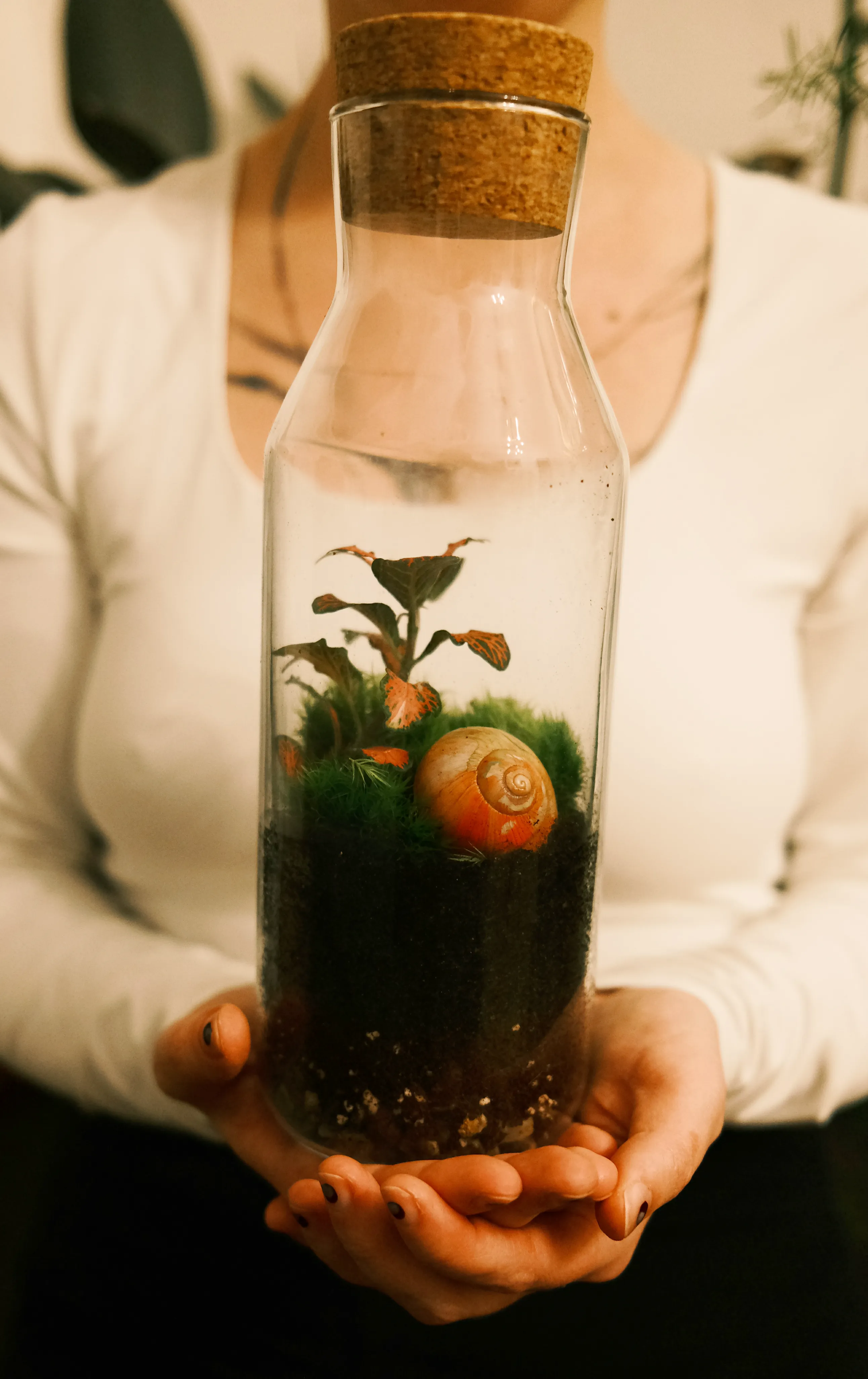 Mechárium malé detail 3