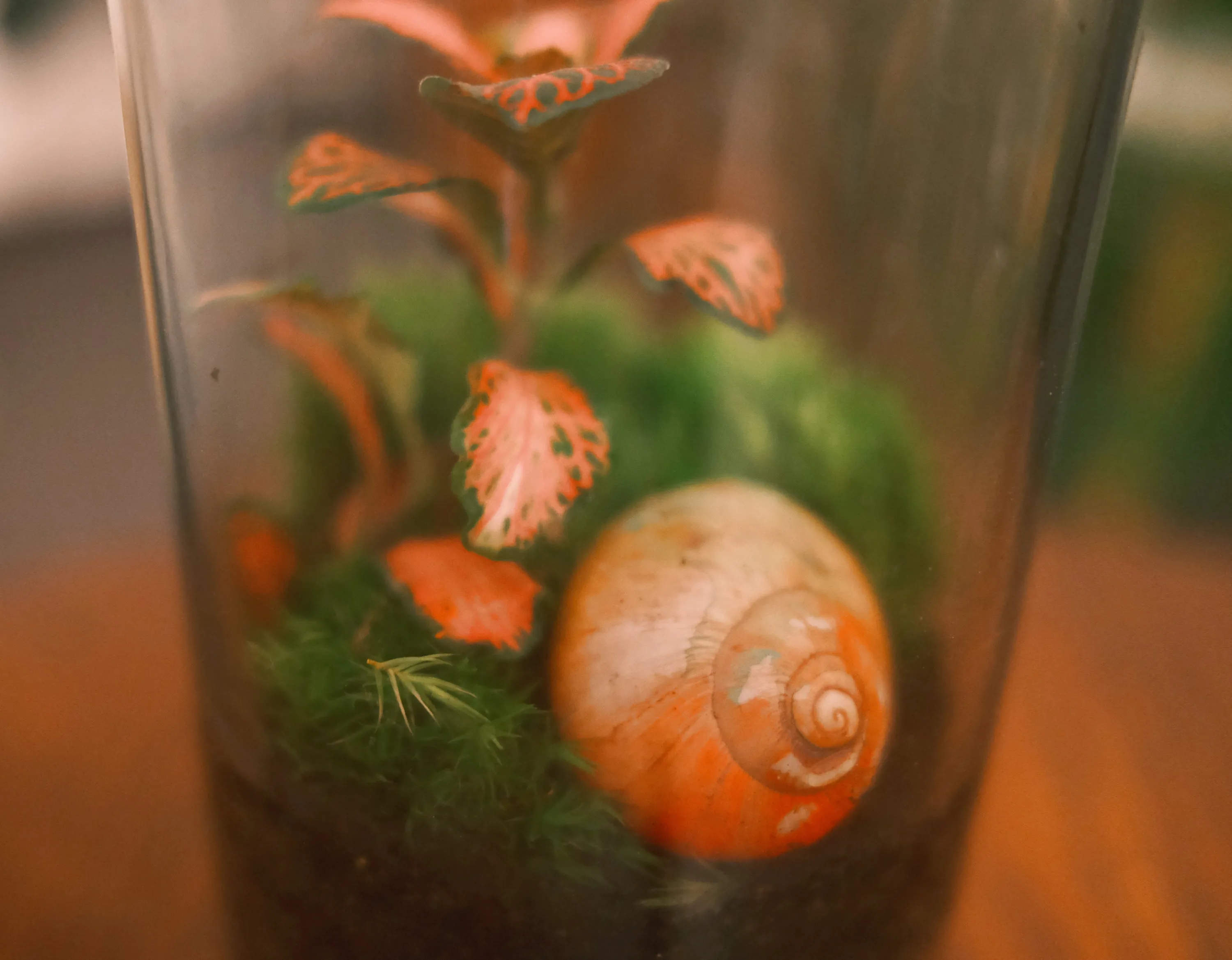 Mechárium malé detail 4