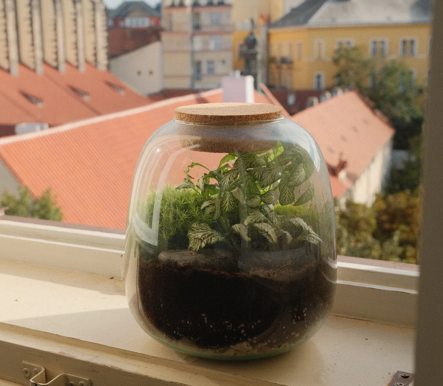 Mechárium velké detail 2