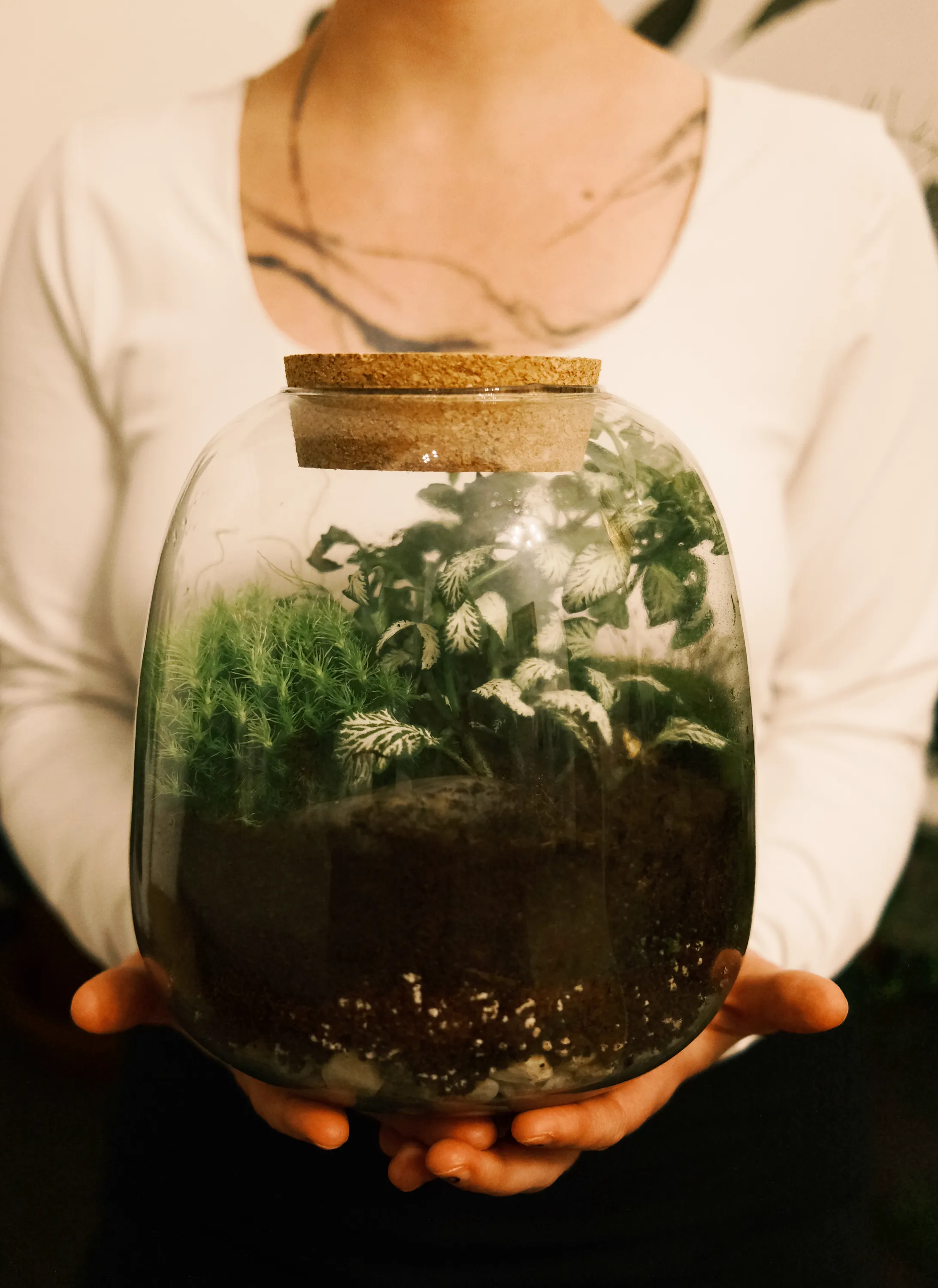 Mechárium velké detail 3